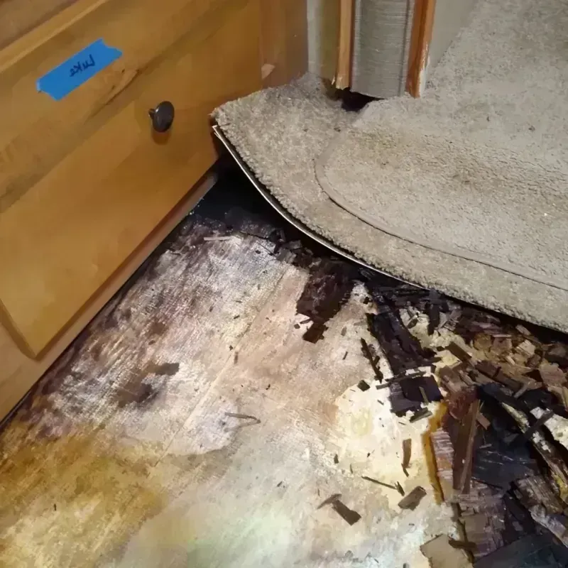 Wood Floor Water Damage in Hamilton, GA